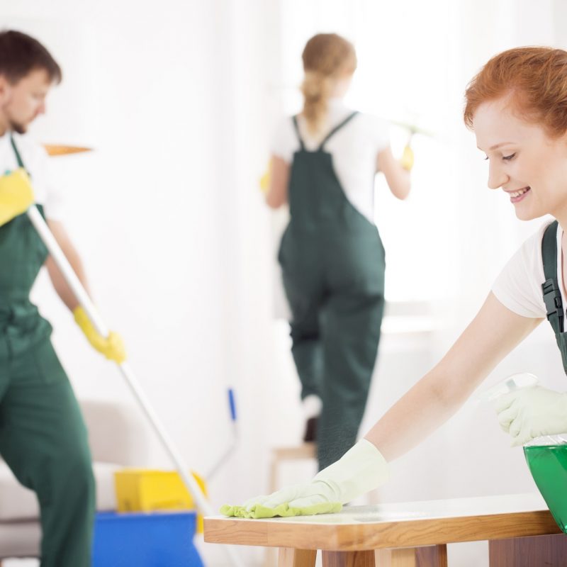 cleaning-service-during-work-1.jpg